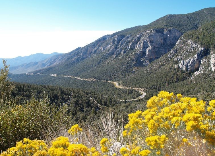 4765 Silver Tip Trail Property Photo 70