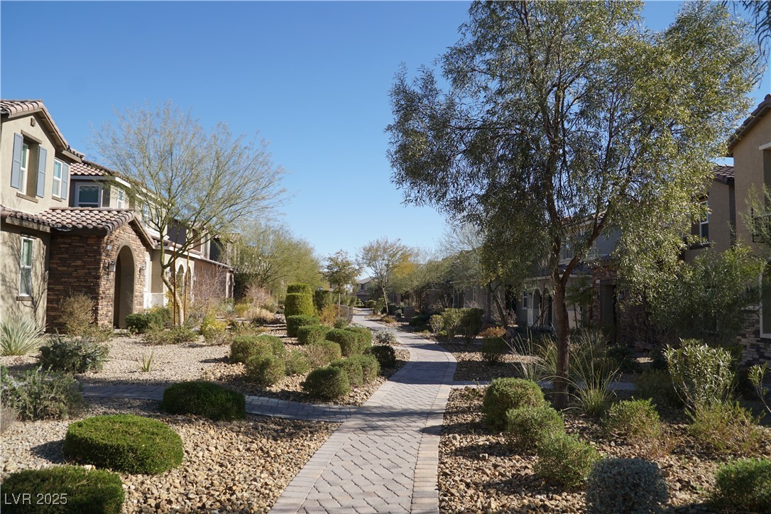 1023 Desert Dome Avenue Property Photo 2