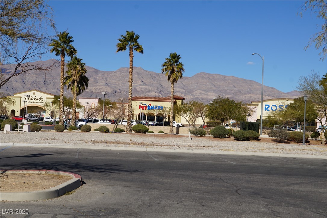1023 Desert Dome Avenue Property Photo 46