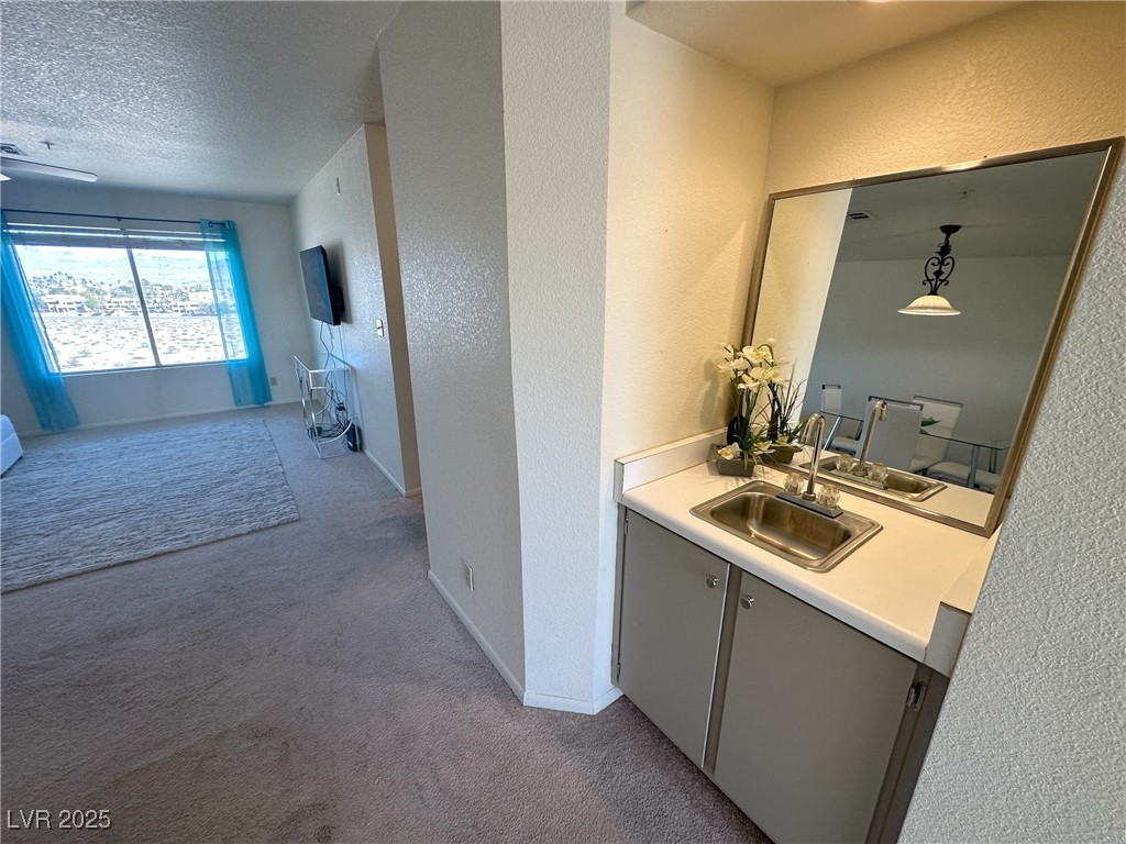 2036 Mesquite Lane 303 Property Photo 7