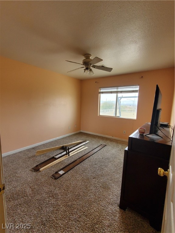 831 Sun Shimmer Place Property Photo 31