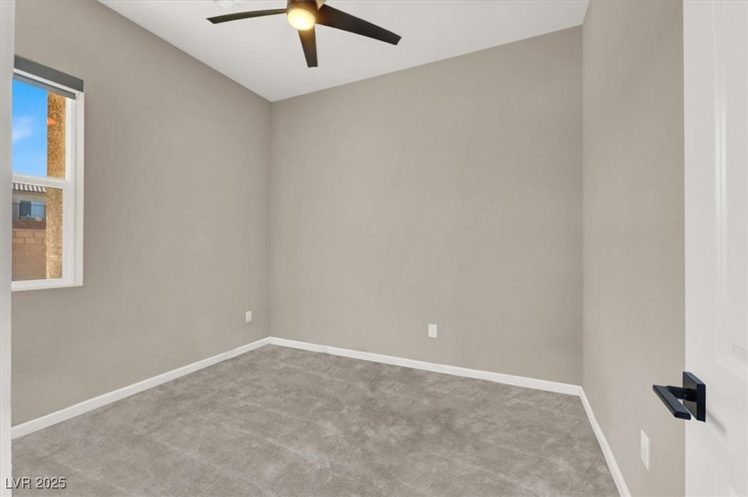 8929 Cassia Winds Street Property Photo 34