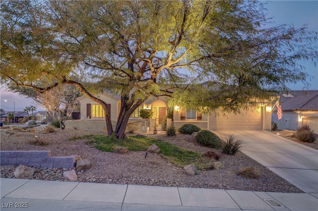 2009 Fern Hill Court Property Photo 4