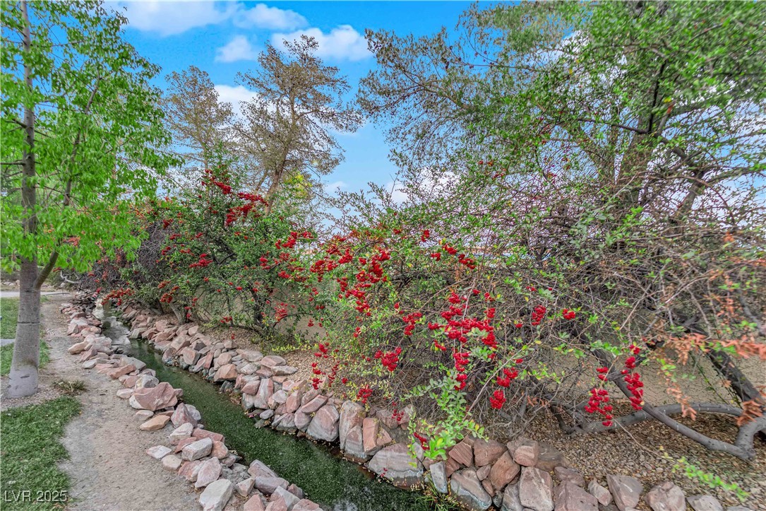 6948 Emerald Springs Lane Property Photo 43