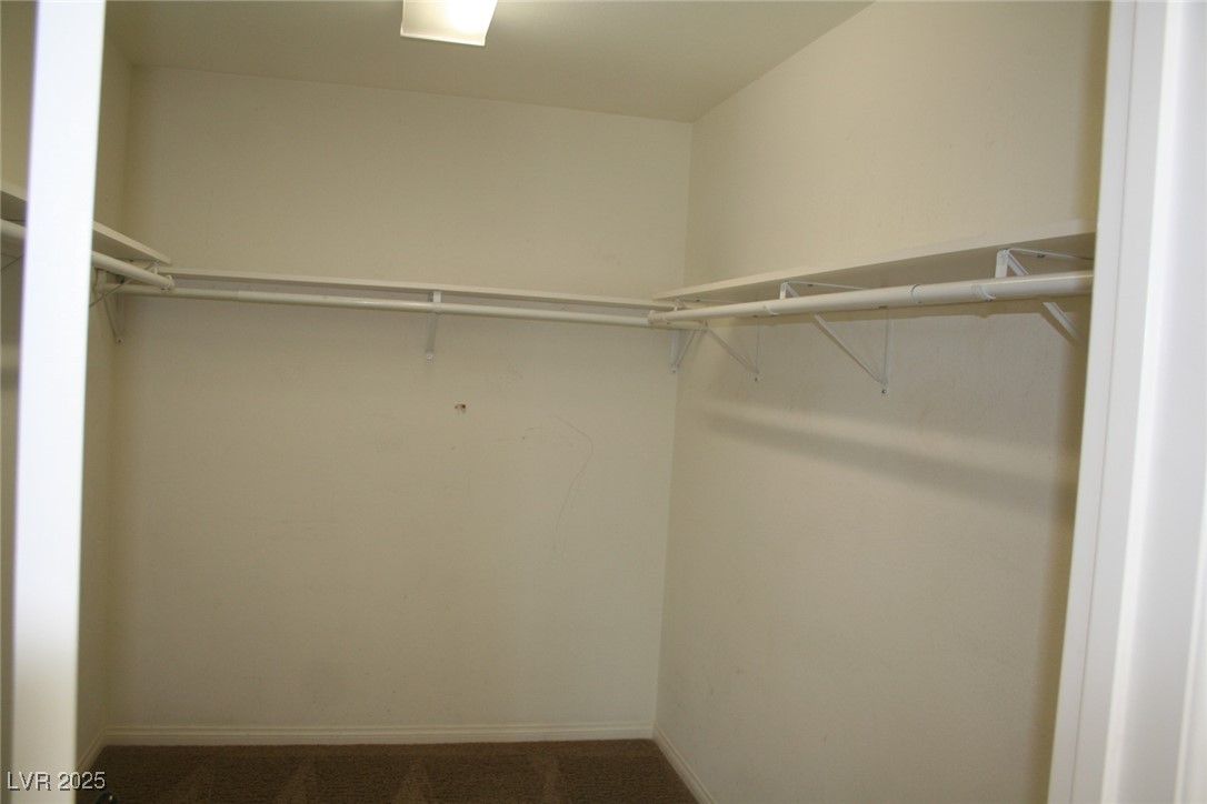 3309 Conterra Park Avenue Property Photo 13