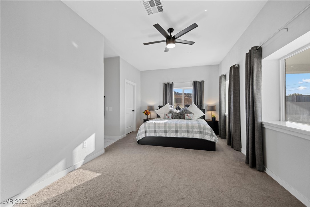 308 Belfast Street Property Photo 29