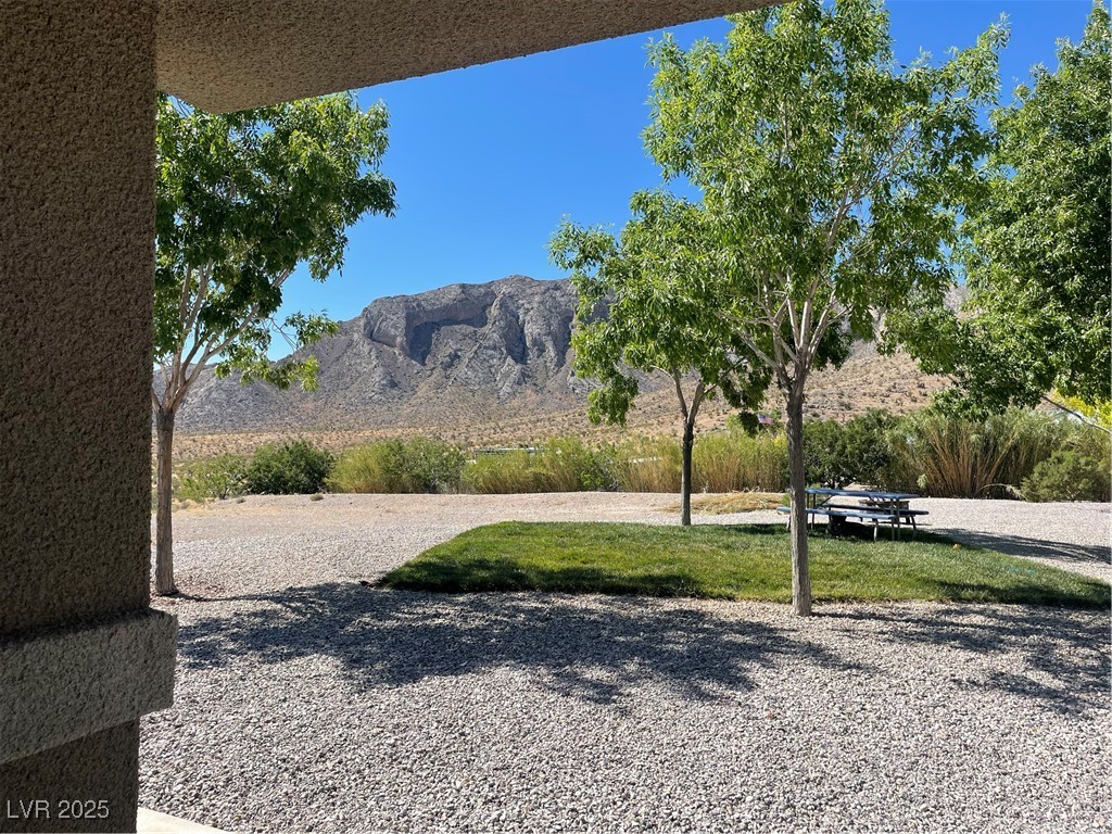 8068 Buena Vida Street Property Photo 44