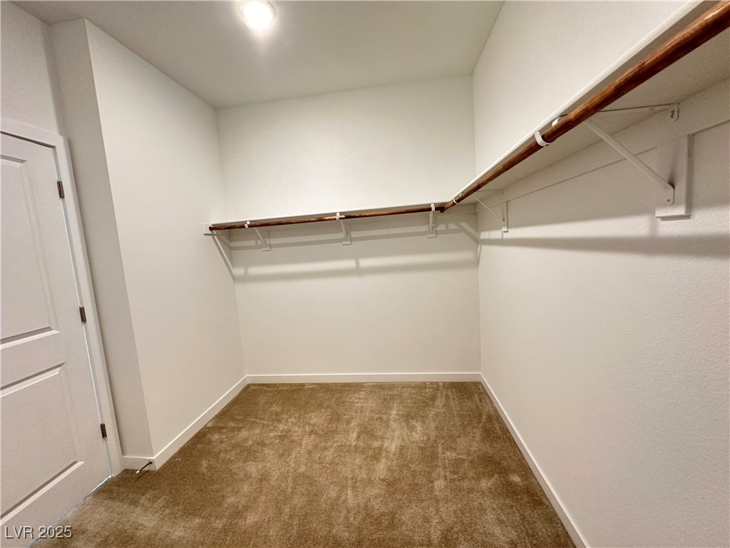 6932 Boulder Canyon Street Property Photo 24