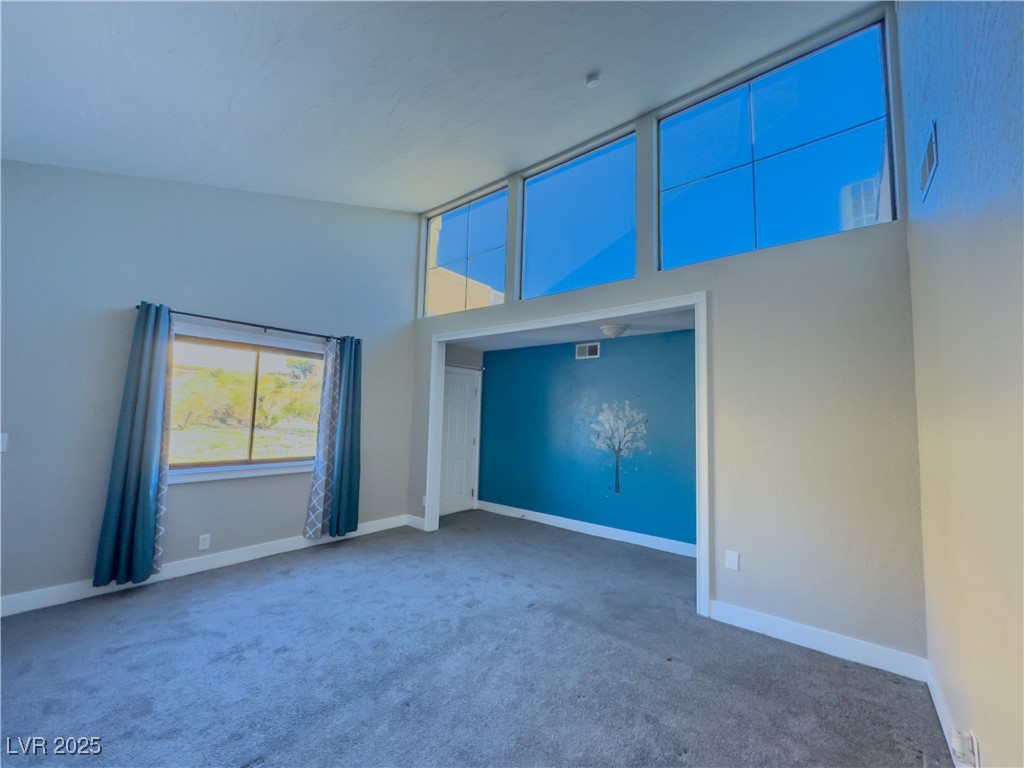 1032 Morning Sun Way Property Photo 39