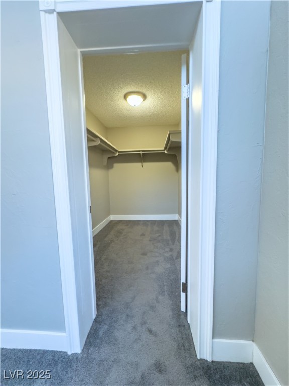 1032 Morning Sun Way Property Photo 42