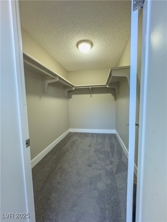 1032 Morning Sun Way Property Photo 43