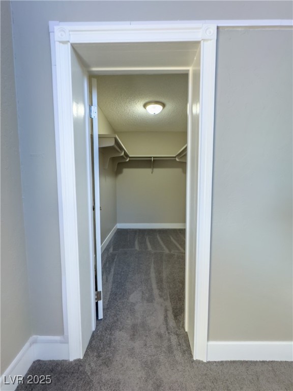 1032 Morning Sun Way Property Photo 55
