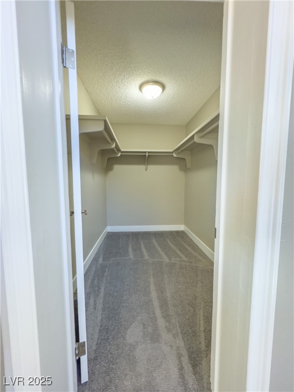 1032 Morning Sun Way Property Photo 56
