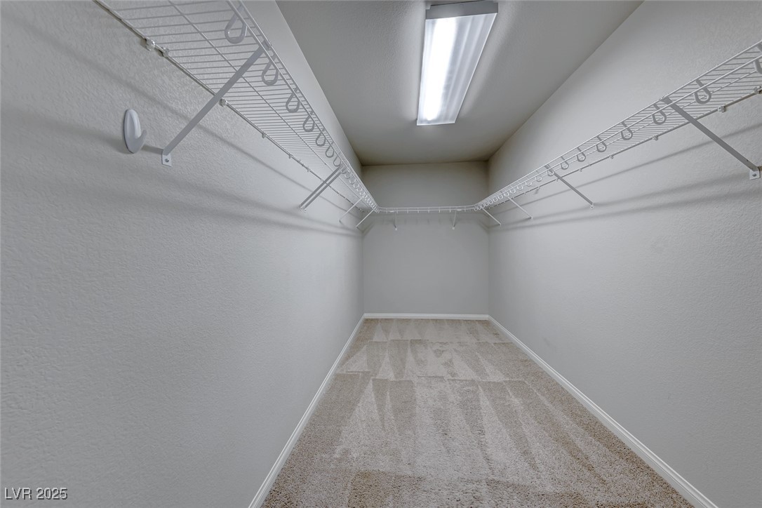 10598 Aphrodite Street Property Photo 14