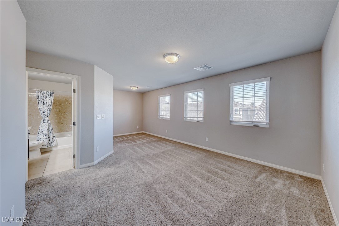 10598 Aphrodite Street Property Photo 15