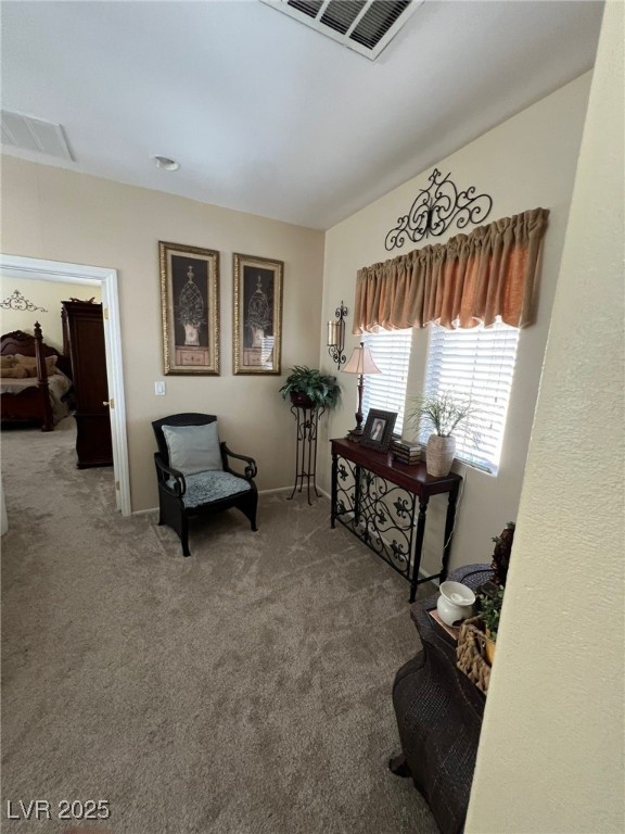 6329 Kitamaya Street Property Photo 27