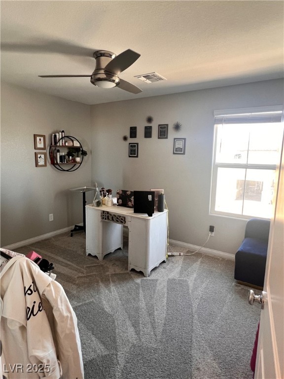 3568 Pontesei Lane Property Photo 15