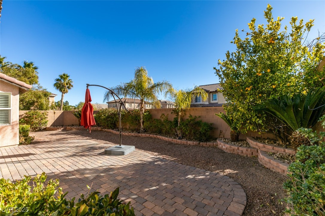 9917 Tradition Creek Avenue Property Photo 40