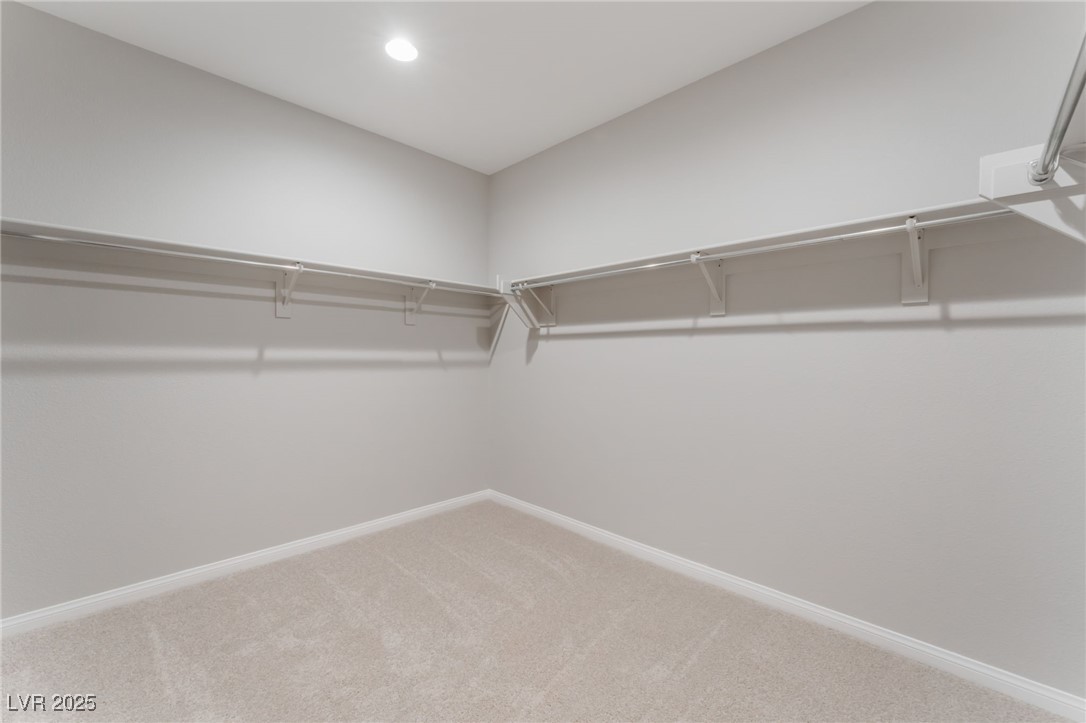 9247 Lunar Phase Street Property Photo 29