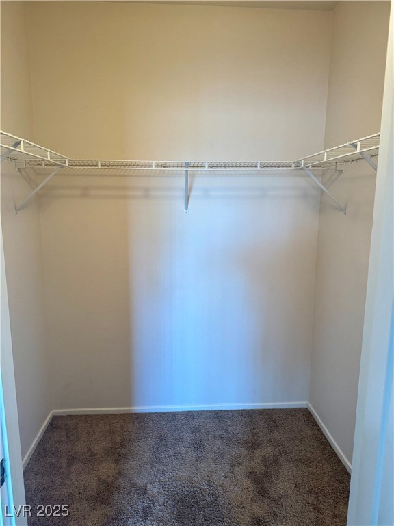 9901 Trailwood Drive 2004 Property Photo 18