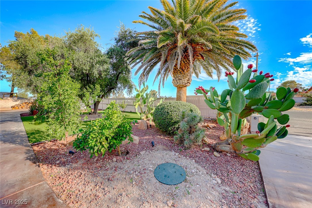 6640 Palmyra Avenue Property Photo 2