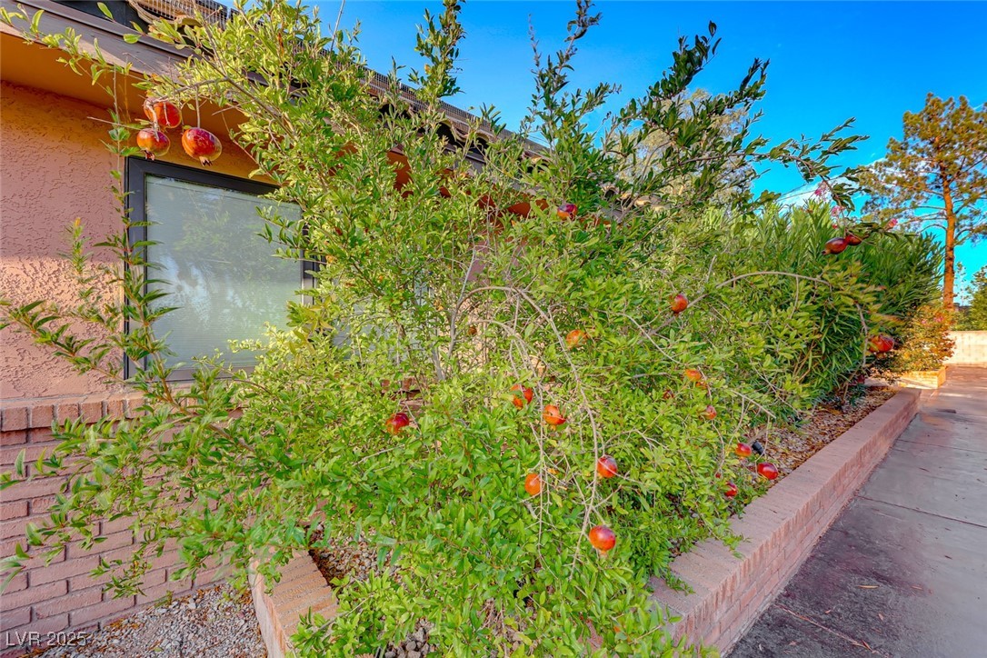 6640 Palmyra Avenue Property Photo 14