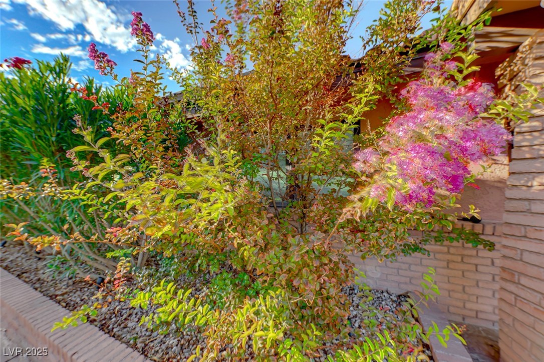 6640 Palmyra Avenue Property Photo 15