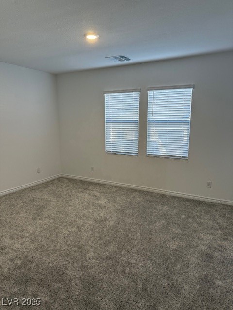 236 Juniper Peak Avenue Property Photo 14