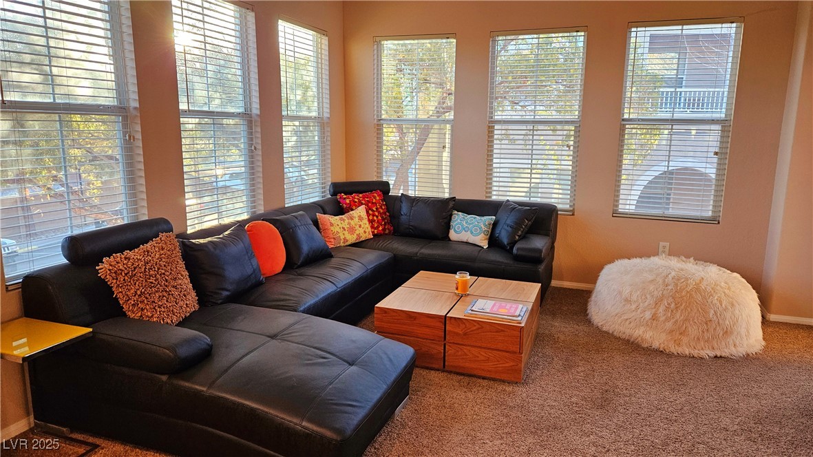 9975 Peace Way 2089 Property Photo 12