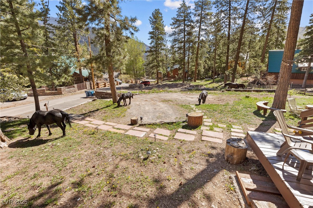 4187 Matterhorn Way Property Photo 44