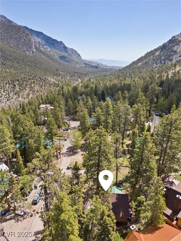 4187 Matterhorn Way Property Photo 46
