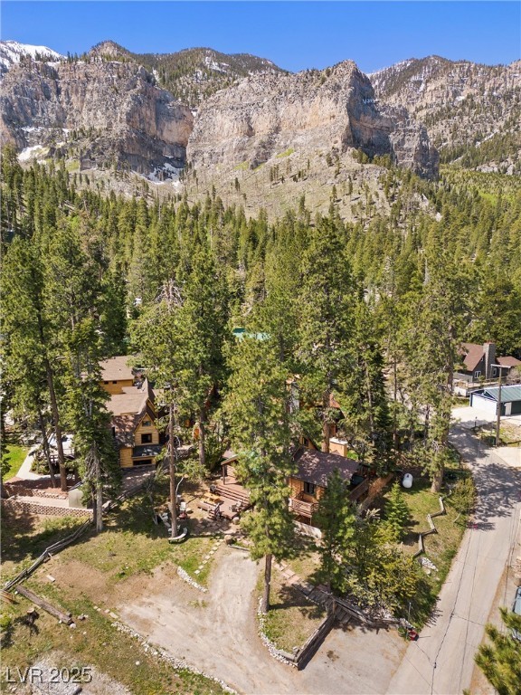 4187 Matterhorn Way Property Photo 49