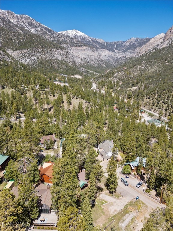 4187 Matterhorn Way Property Photo 50