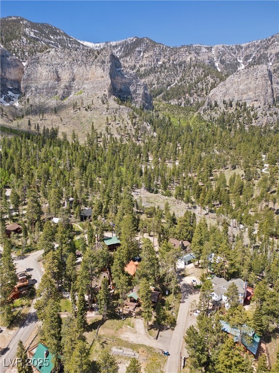 4187 Matterhorn Way Property Photo 51
