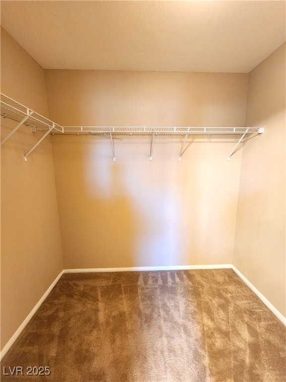 7380 Burnt Umber Street Property Photo 11