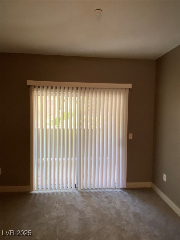 50 Aura De Blanco Street 13103 Property Photo 21
