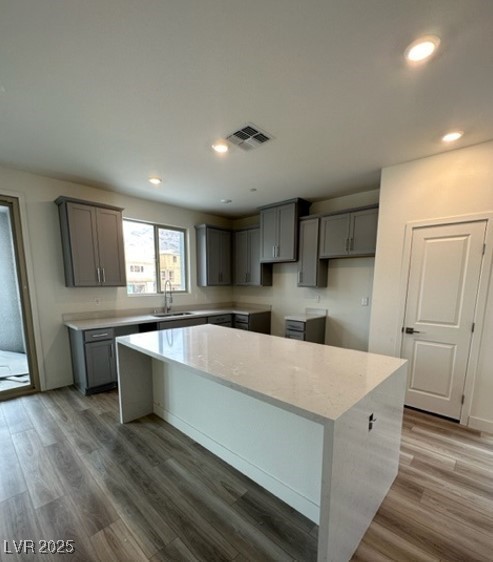 1521 Bat Hawk Street Property Photo 2