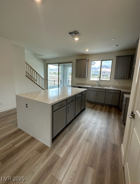 1521 Bat Hawk Street Property Photo 3