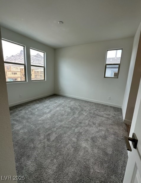 1521 Bat Hawk Street Property Photo 7