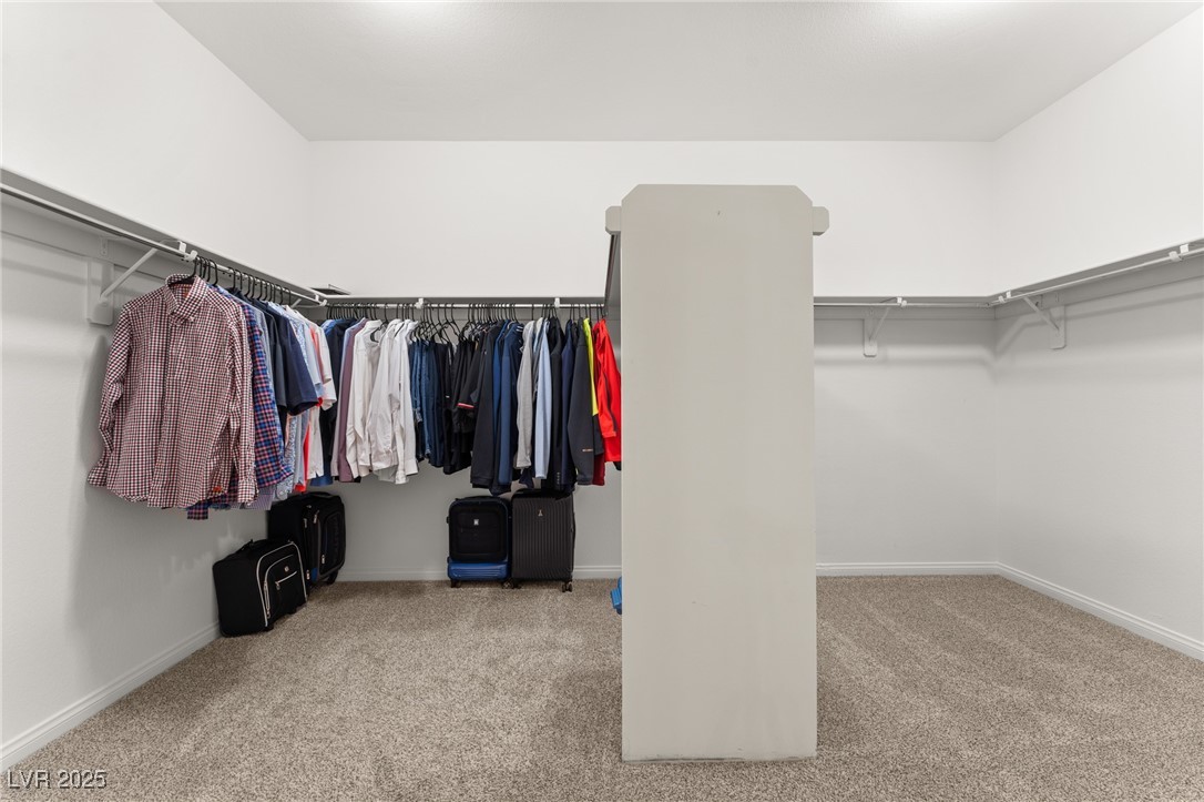 10825 Bernini Drive Property Photo 35