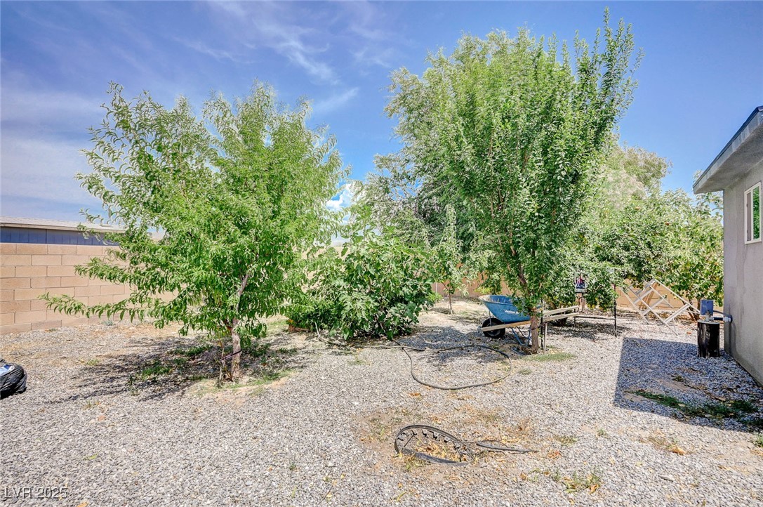 5500 Santovito Street Property Photo 54