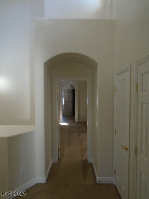 1113 Tropical Star Lane 2 Property Photo 14