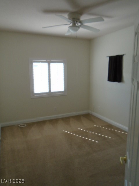 1113 Tropical Star Lane 2 Property Photo 22