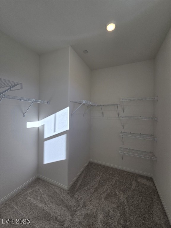 11693 Stone Curlew Avenue Property Photo 20