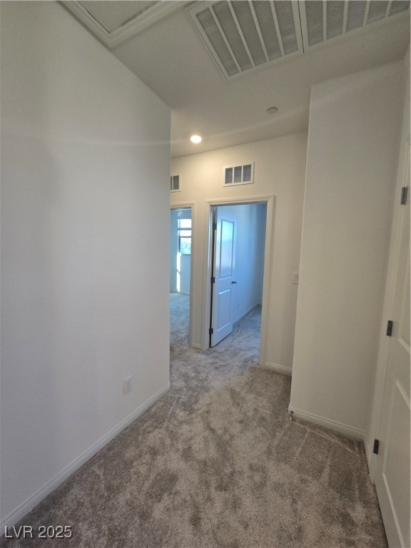 11693 Stone Curlew Avenue Property Photo 23