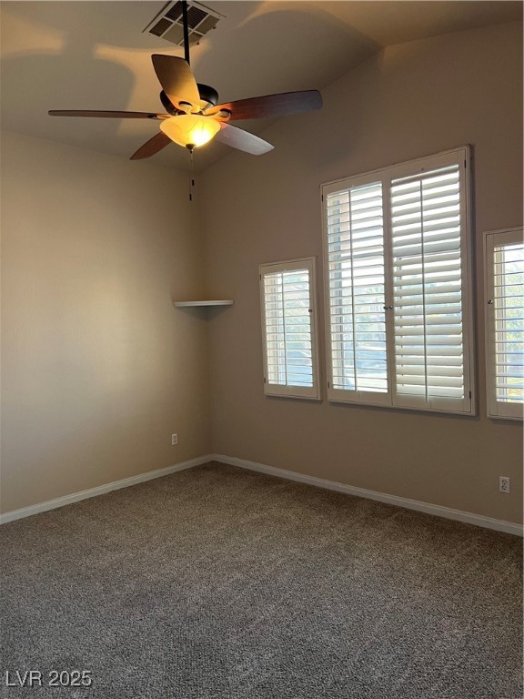 8804 Stafford Springs Drive Property Photo 31