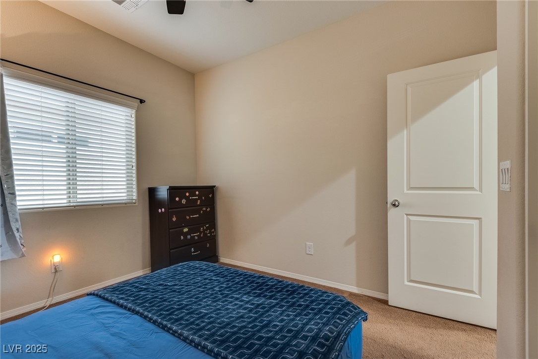 5835 Rustic Prairie Street Property Photo 42