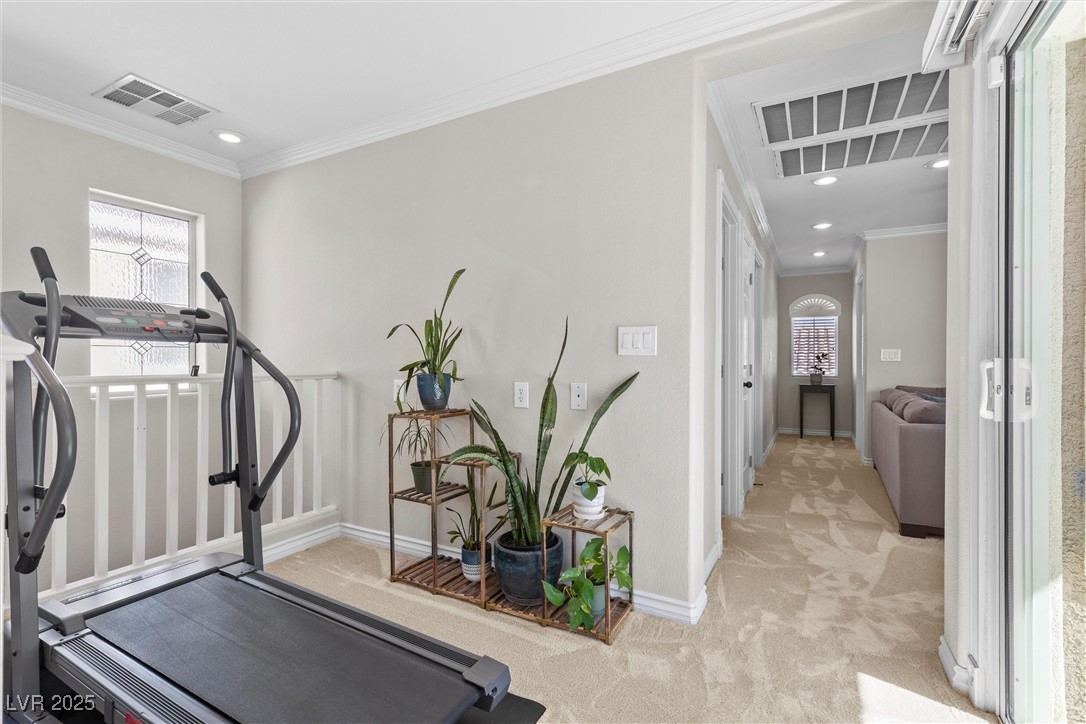 1036 Campo Seco Court Property Photo 43