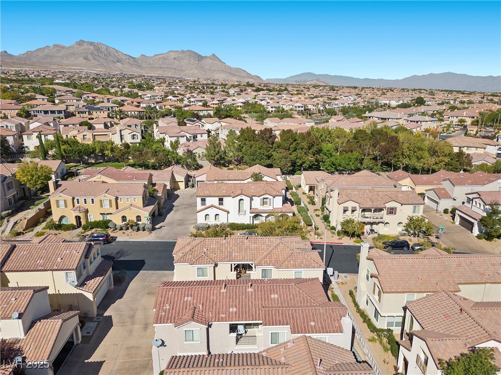 1036 Campo Seco Court Property Photo 62