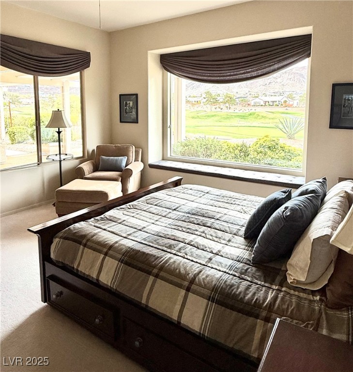 547 Mountain Links Drive Property Photo 13